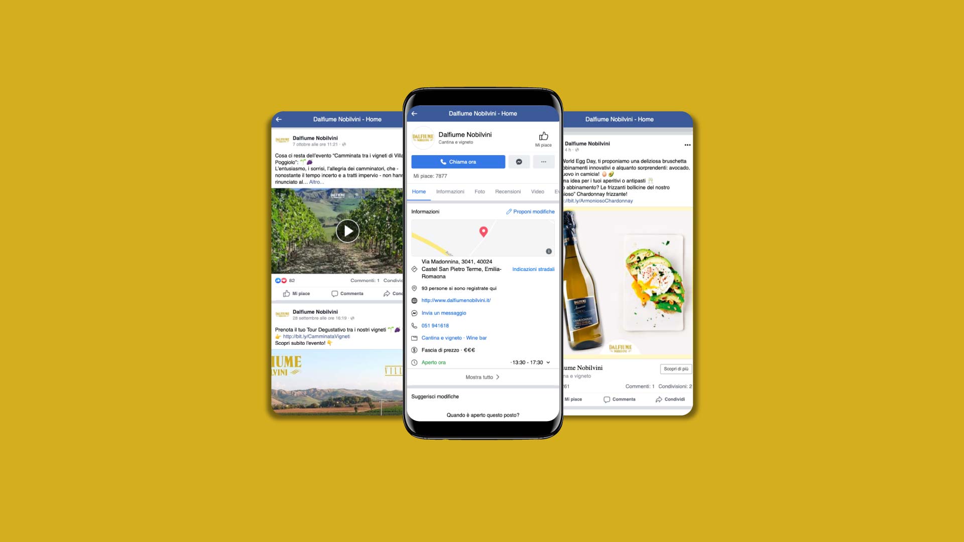 dalfiumenobilvini-social